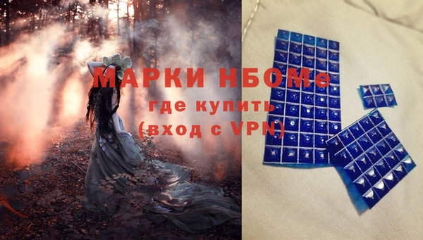 индика Аркадак