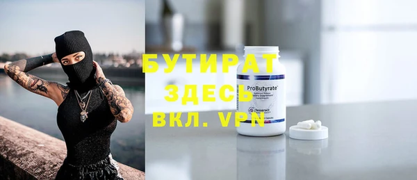 индика Аркадак