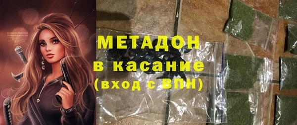 индика Аркадак