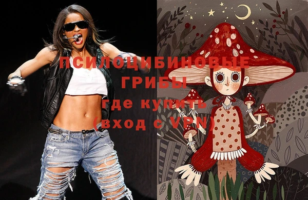 индика Аркадак