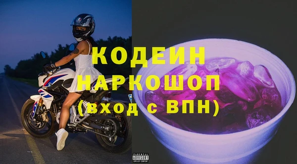 индика Аркадак
