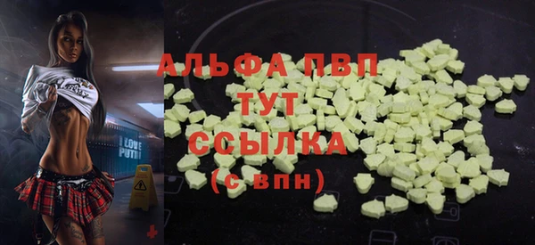 индика Аркадак