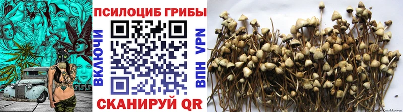 Псилоцибиновые грибы ЛСД  Междуреченск 